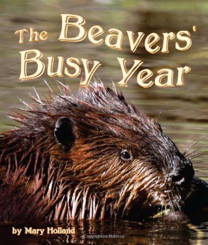 The Beavers' Busy Year by Mary Holland