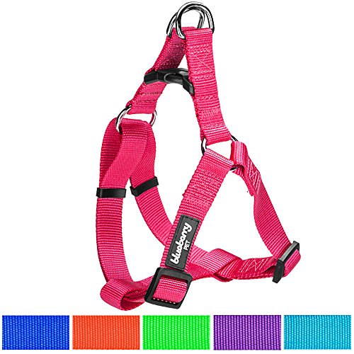 Blueberry Pet Step-in Harnesses, Chest Girth 23.5