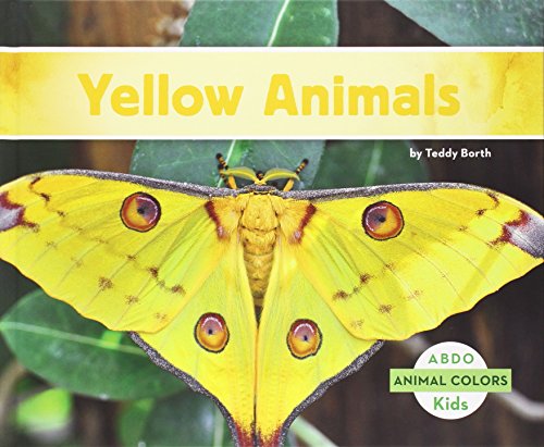 Animal Colors by Teddy Borth