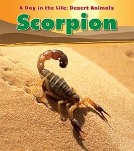 Scorpion