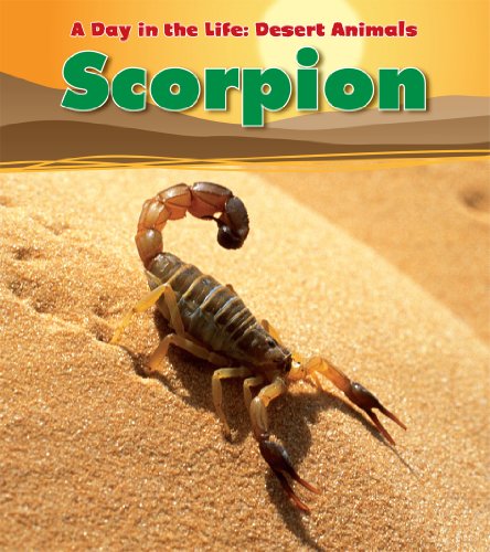 Scorpion by Anita Ganeri