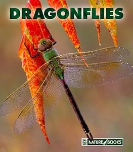Dragonflies