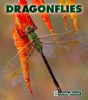 Dragonflies