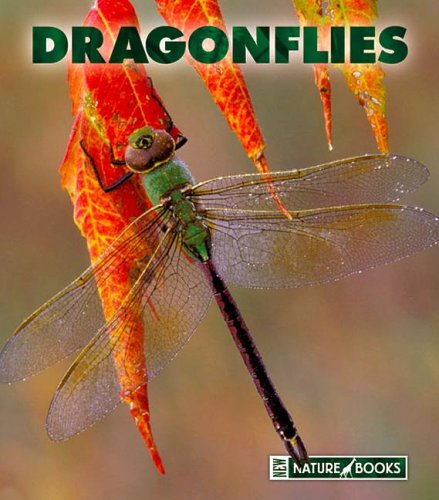 Dragonflies by Patrick Merrick