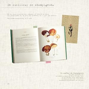 Voyages au point de croix