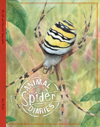 Spider by Steve Parker
