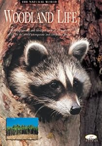 Woodland Life (The Natural World Series)