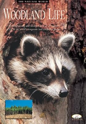 Woodland Life (The Natural World Series)