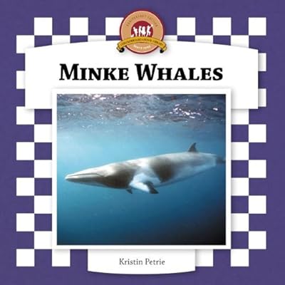 Minke Whales (Whales Set II)