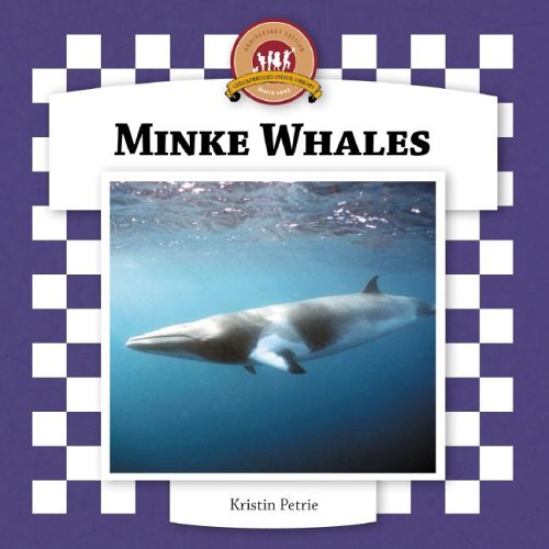 Minke Whales (Whales Set II) by Kristin Petrie