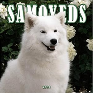 Samoyeds 2004 Calendar