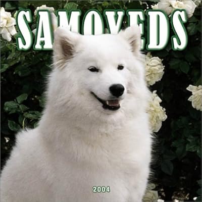 Samoyeds 2004 Calendar