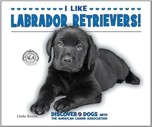 I Like Labrador Retrievers!