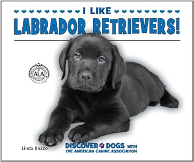 I Like Labrador Retrievers!