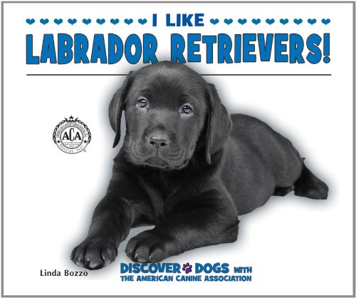 I Like Labrador Retrievers! by Linda Bozzo