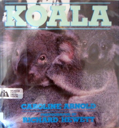 Koala by Caroline Arnold