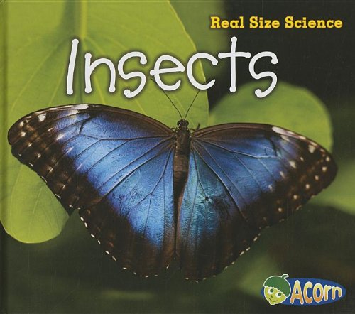 Insects: Real Size Science by Rebecca Rissman