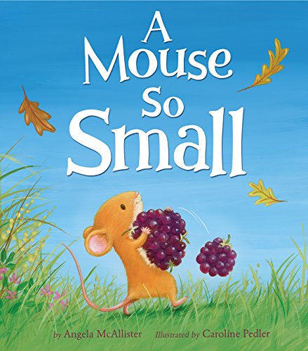 A mouse so small by Angela McAllister; Caroline Pedler