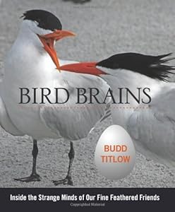 Bird Brains: Inside the Strange Minds of Our Fine Feathered Friends by Budd Titlow