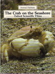 The crab on the seashore (Animal habitats)