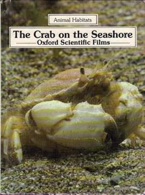 The crab on the seashore (Animal habitats)