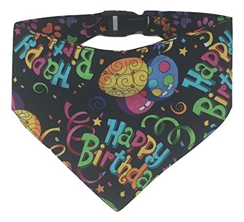 Algopix Similar Product 11 - Birthday Celebration 22 Large