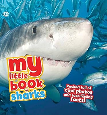 My Little Book of Sharks: Packed full of cool photos and fascinating facts!