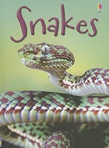 Snakes by James MacLaine 
			
			
		
		
		
       	 
       		
       			,