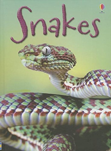 Snakes by James MacLaine 
			
			
		
		
		
       	 
       		
       			,