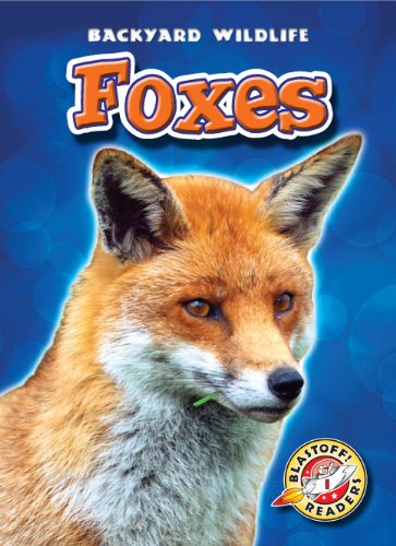 Foxes by Emily Green