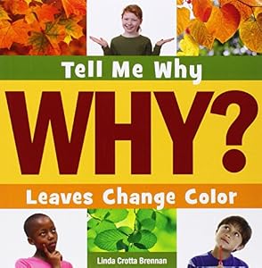 Leaves Change Color