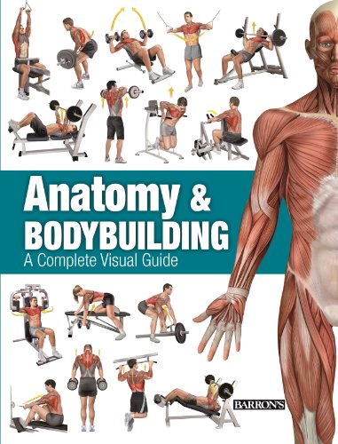 Anatomy &amp; Bodybuilding: A Complete Visual Guide by Ricardo Canovas Linares
