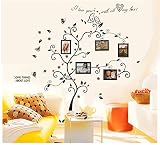 Colorful-Decals© Kiss Birds Trees Hearts Leaves Black Photo Picture Frame Decal Removable Wall Decals Large Wall Stickers Love Quotes & Decorative Painting Supplies & Wall Sticker for Living Room Bedroom Wallpops Decal
