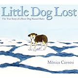 Little Dog Lost