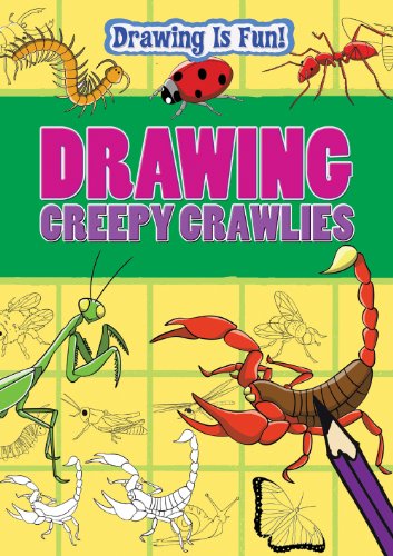 Drawing Creepy Crawlies by Rebecca Clunes