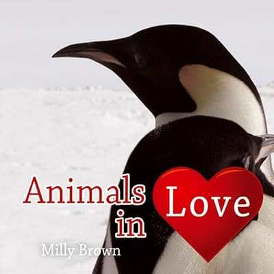 Animals in Love