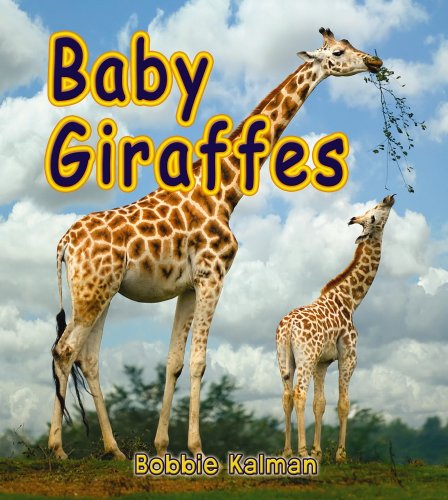 Baby Giraffes (It's Fun to Learn about Baby Animals) by Bobbie Kalman