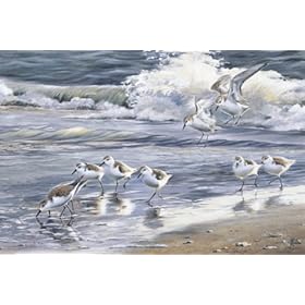 Beach Ocean Cottage Door Mat Area Rug Indoor Outdoor