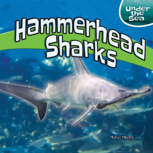 Hammerhead Sharks by Meryl Magby