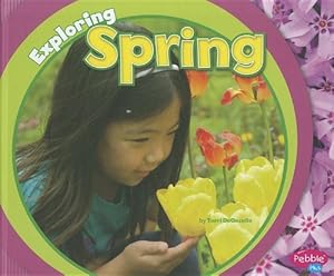 Exploring Spring