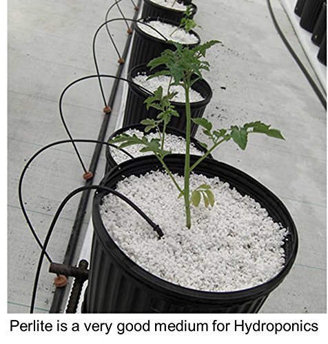 PERLITE by Casa De Amor, For GARDENING, HYDROPONICS, HORTICULTURAL GRADE 400 GM IMPORTED. 100% Quality Guaranteed
