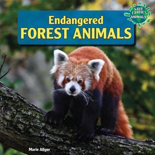 Endangered Forest Animals (Save Earth's Animals!) by Marie Allgor