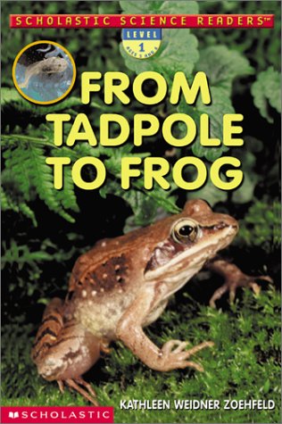 Scholastic Science Readers: From Tadpole To Frog by Kathleen Weidner Zoehfeld