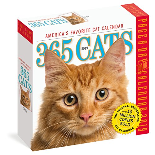 365 Cats Page-A-Day Calendar 2019 by Workman Publishing