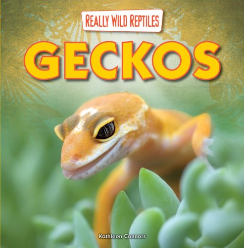 Geckos by Kathleen Connors