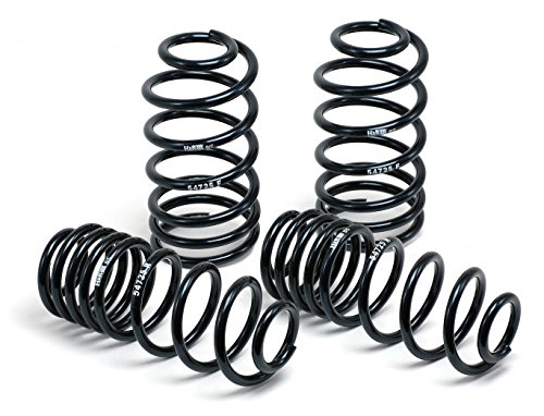 

H&R Sport Springs BMW X6 X70 with Self Leveling 07-13