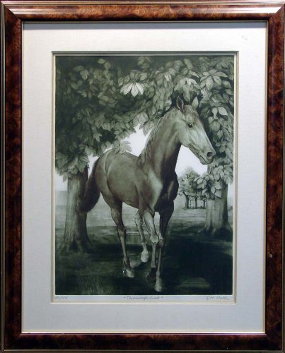 Algopix Similar Product 1 - Thoroughbred