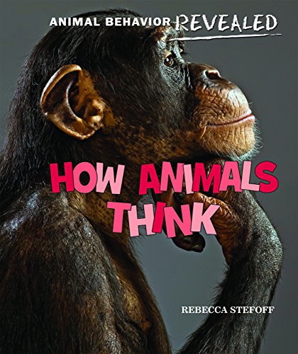 How Animals Think by Rebecca Stefoff