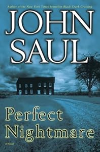 Perfect Nightmare: A Novel