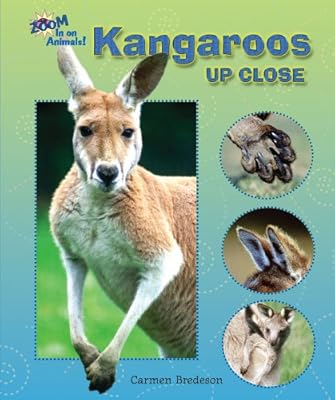 Kangaroos Up Close